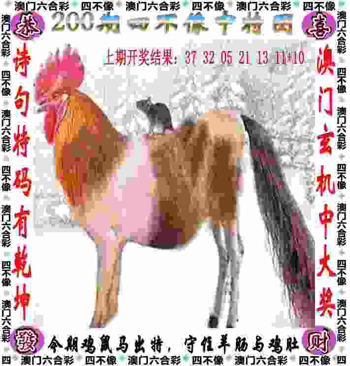 卡塔尔世界杯上的超新星，你更看好谁？